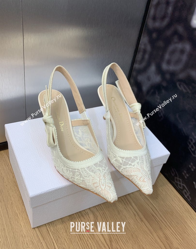 Dior JAdior Slingback Pumps 6.5cm in Transparent Mesh Embroidered with White Butterfly Motif 2023 (MD-231202011)