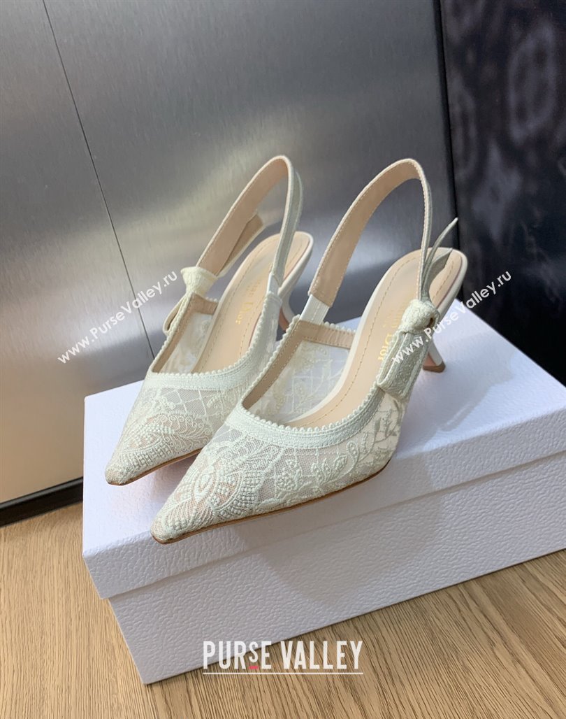 Dior JAdior Slingback Pumps 6.5cm in Transparent Mesh Embroidered with White Butterfly Motif 2023 (MD-231202011)