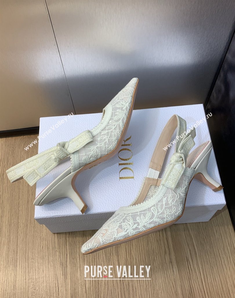 Dior JAdior Slingback Pumps 6.5cm in Transparent Mesh Embroidered with White Butterfly Motif 2023 (MD-231202011)