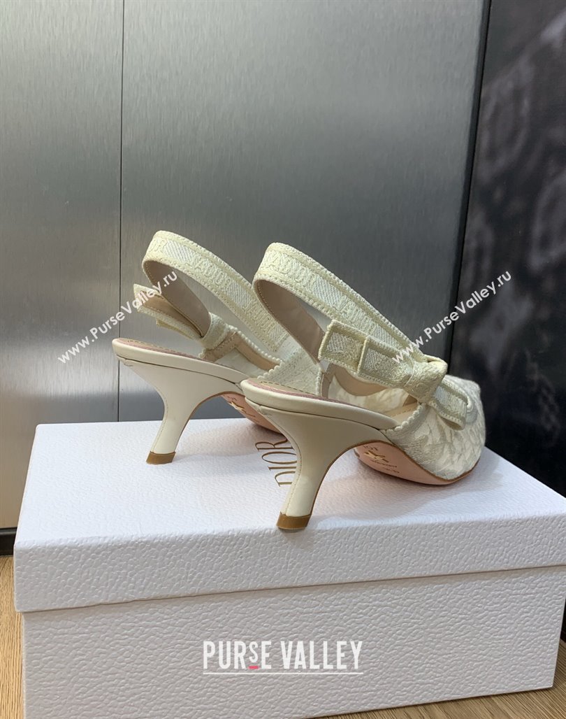 Dior JAdior Slingback Pumps 6.5cm in Transparent Mesh Embroidered with White Butterfly Motif 2023 (MD-231202011)