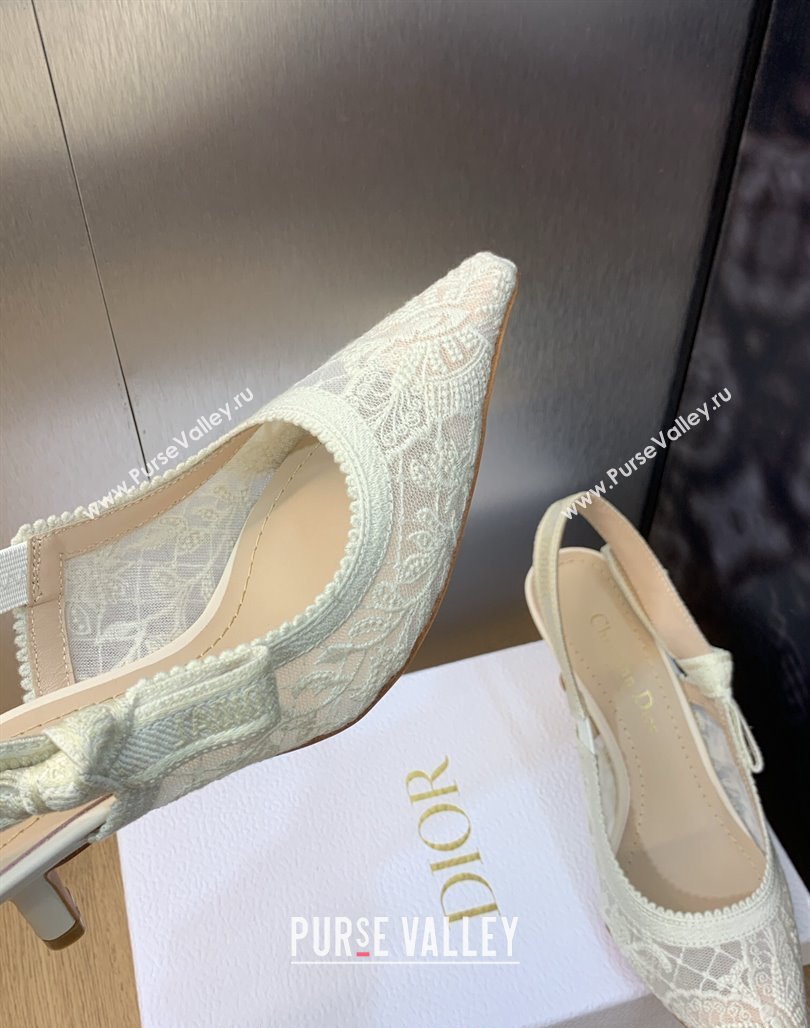 Dior JAdior Slingback Pumps 6.5cm in Transparent Mesh Embroidered with White Butterfly Motif 2023 (MD-231202011)