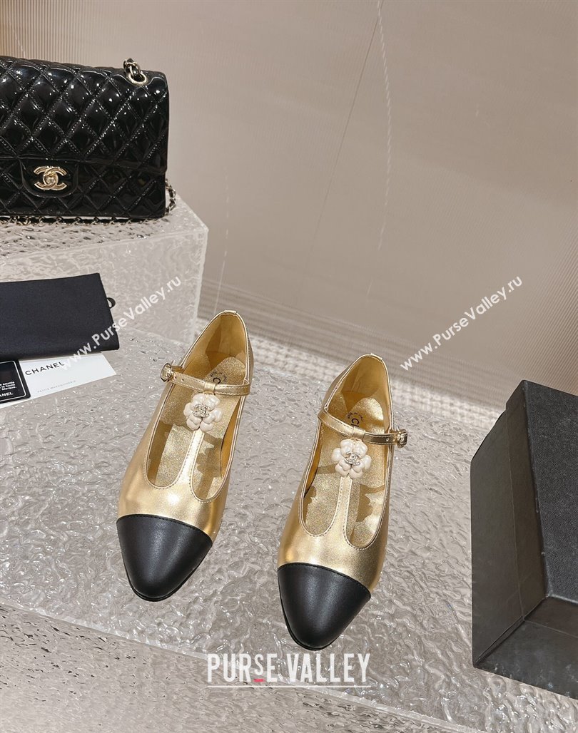 Chanel Calfskin Ballet Flat with Bloom Charm Gold 2023 CH120101 (MD-231201008)