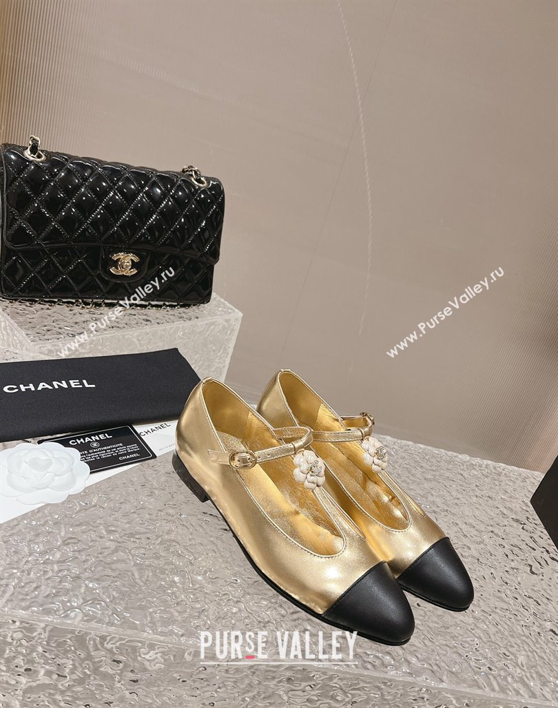 Chanel Calfskin Ballet Flat with Bloom Charm Gold 2023 CH120101 (MD-231201008)