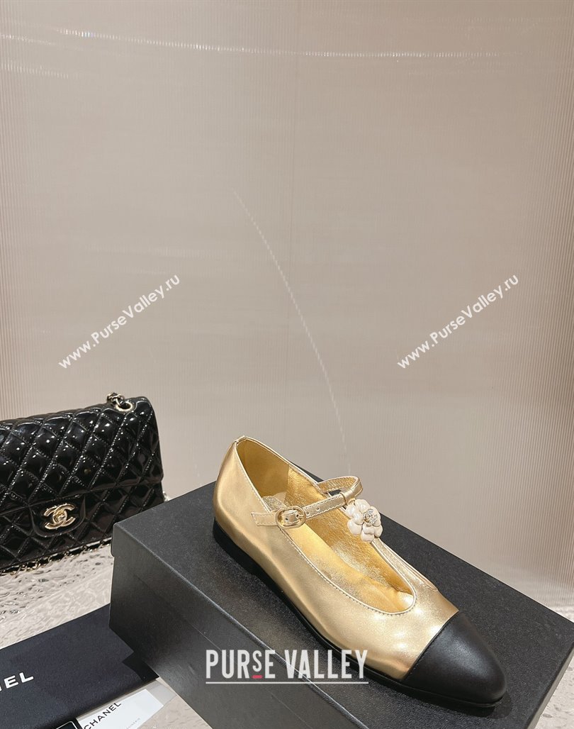 Chanel Calfskin Ballet Flat with Bloom Charm Gold 2023 CH120101 (MD-231201008)