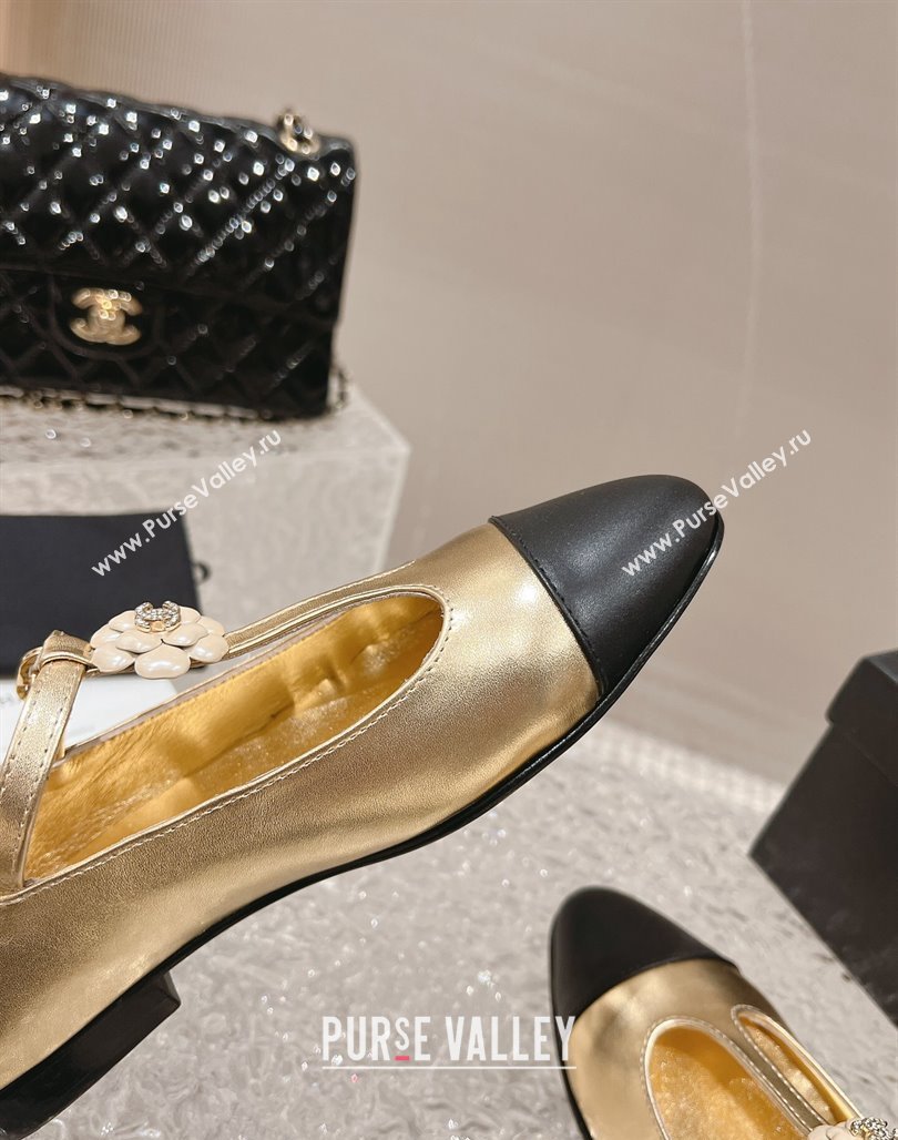 Chanel Calfskin Ballet Flat with Bloom Charm Gold 2023 CH120101 (MD-231201008)