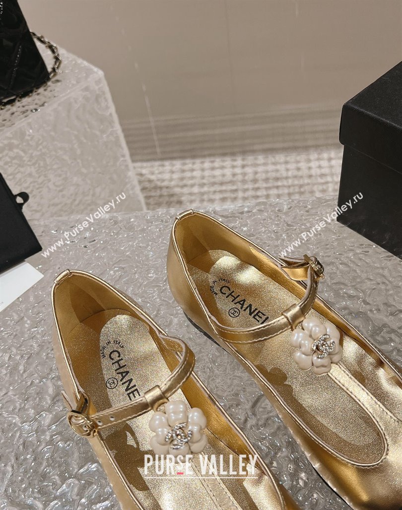 Chanel Calfskin Ballet Flat with Bloom Charm Gold 2023 CH120101 (MD-231201008)