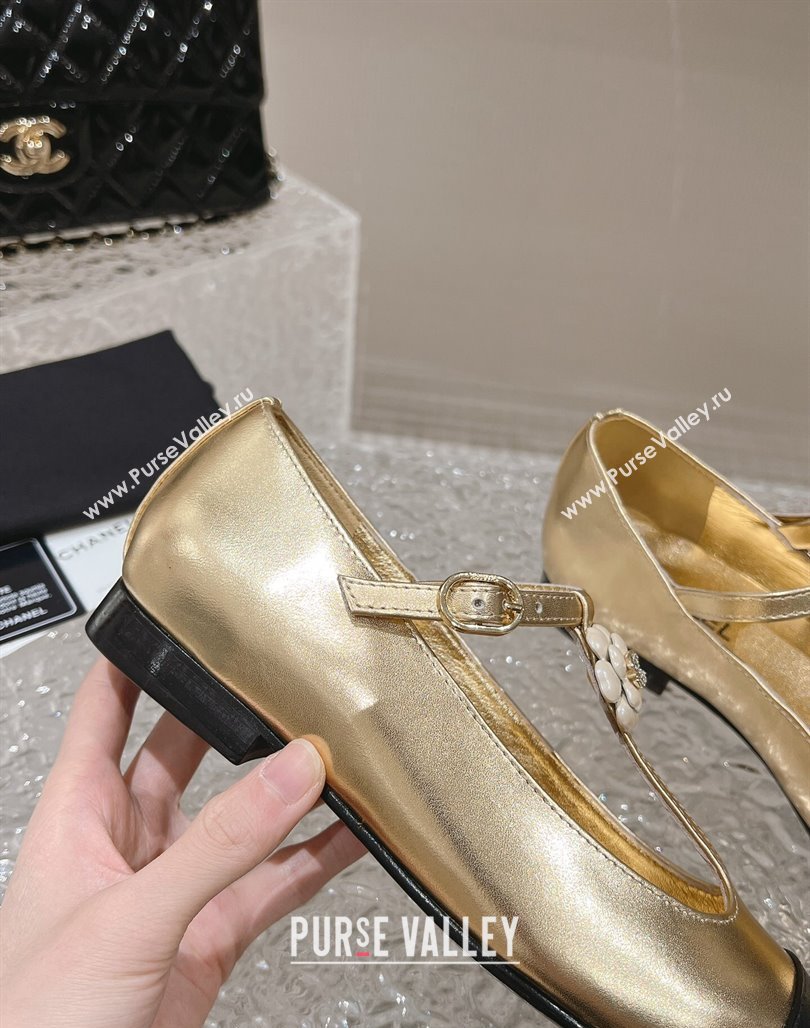 Chanel Calfskin Ballet Flat with Bloom Charm Gold 2023 CH120101 (MD-231201008)