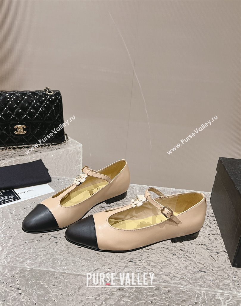 Chanel Calfskin Ballet Flat with Bloom Charm Nude 2023 CH120101 (MD-231201009)