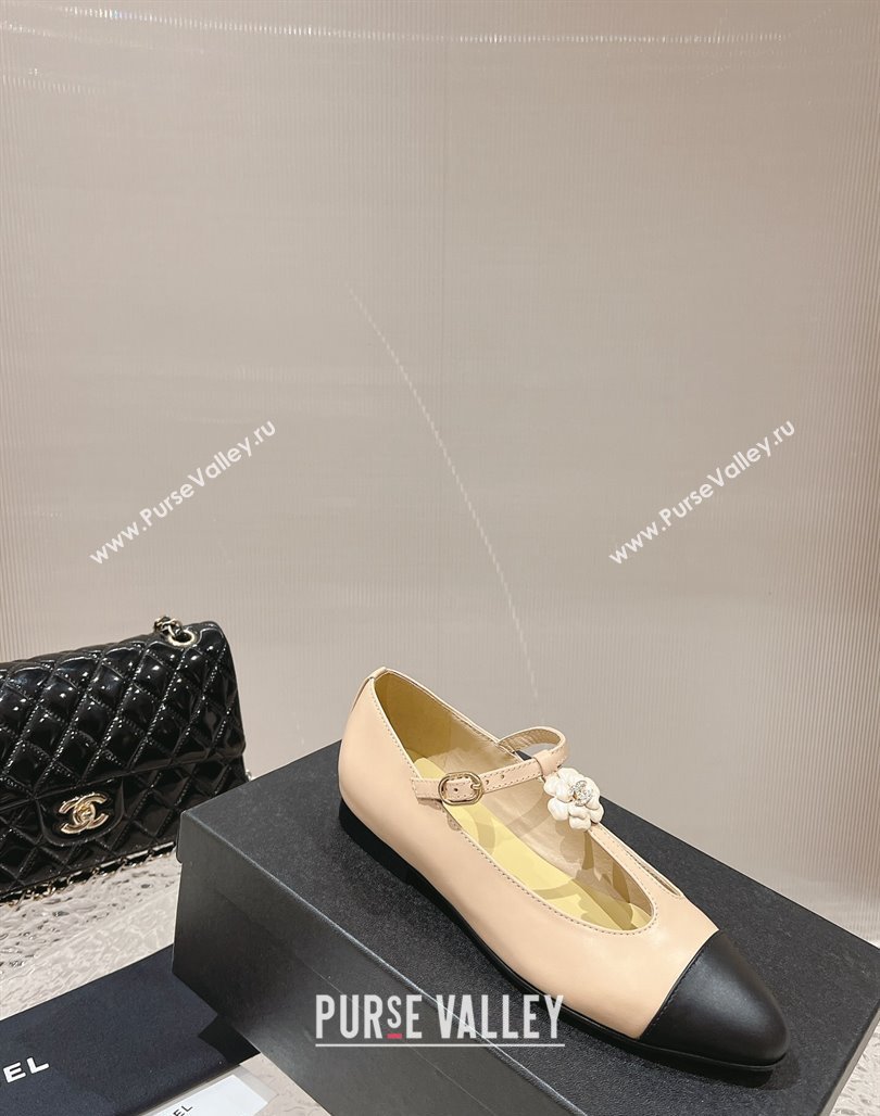 Chanel Calfskin Ballet Flat with Bloom Charm Nude 2023 CH120101 (MD-231201009)