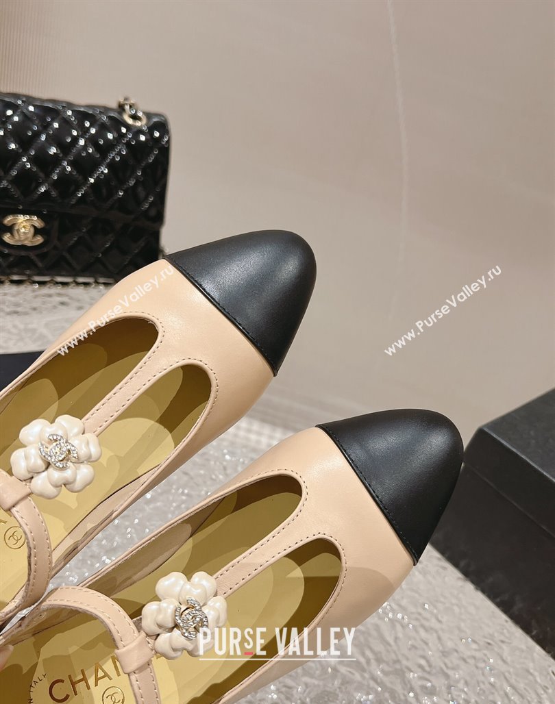 Chanel Calfskin Ballet Flat with Bloom Charm Nude 2023 CH120101 (MD-231201009)