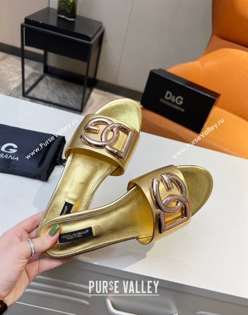 Dolce Gabbana Leather Flat Slide Sandals with DG Logo Gold 2023 DG12152 (MD-231215092)