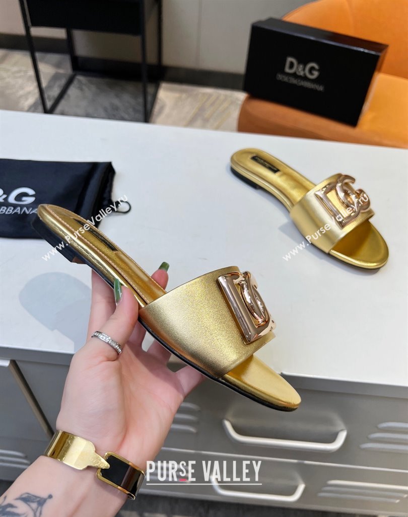 Dolce Gabbana Leather Flat Slide Sandals with DG Logo Gold 2023 DG12152 (MD-231215092)