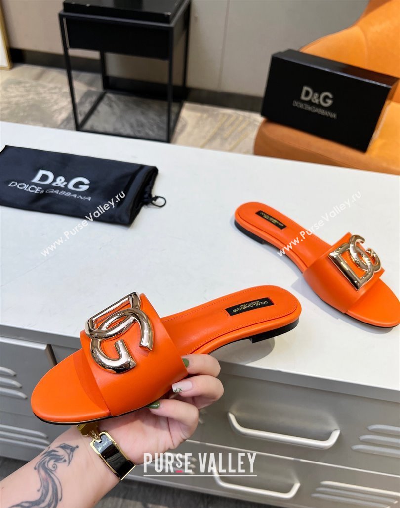 Dolce Gabbana Leather Flat Slide Sandals with DG Logo Orange 2023 DG12152 (MD-231215098)