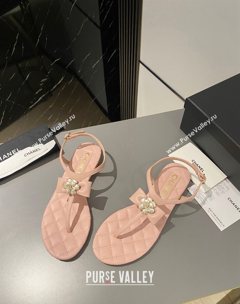 Chanel Lambskin Flat Thong Sandals with Bloom Bow Light Pink 2023 CH121310 (MD-231213049)