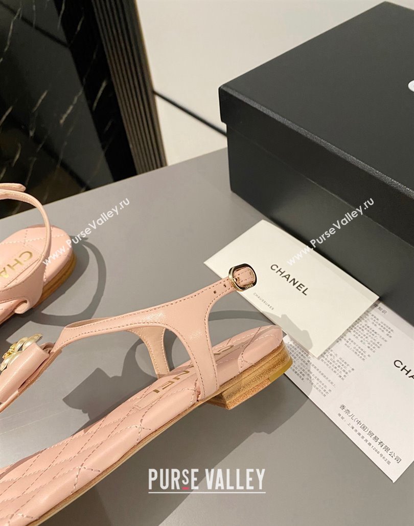 Chanel Lambskin Flat Thong Sandals with Bloom Bow Light Pink 2023 CH121310 (MD-231213049)