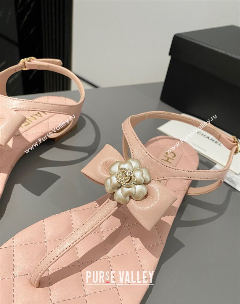 Chanel Lambskin Flat Thong Sandals with Bloom Bow Light Pink 2023 CH121310 (MD-231213049)