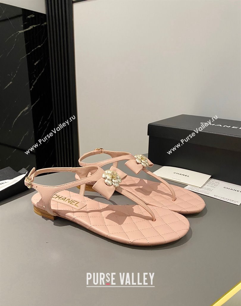 Chanel Lambskin Flat Thong Sandals with Bloom Bow Light Pink 2023 CH121310 (MD-231213049)