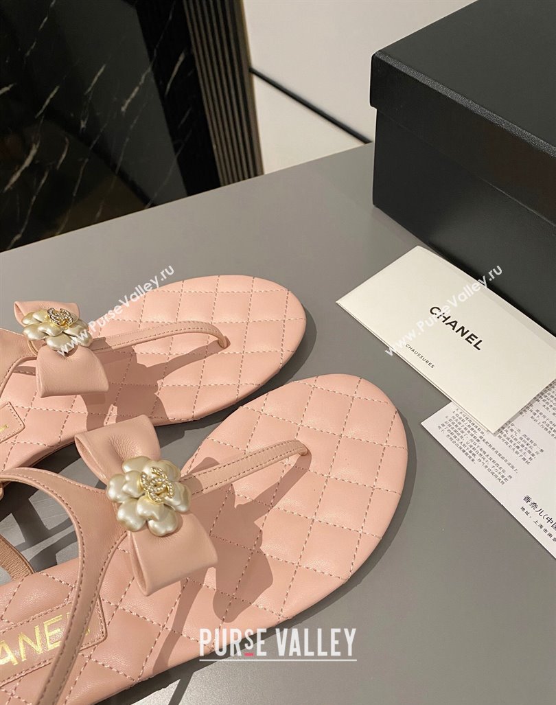 Chanel Lambskin Flat Thong Sandals with Bloom Bow Light Pink 2023 CH121310 (MD-231213049)