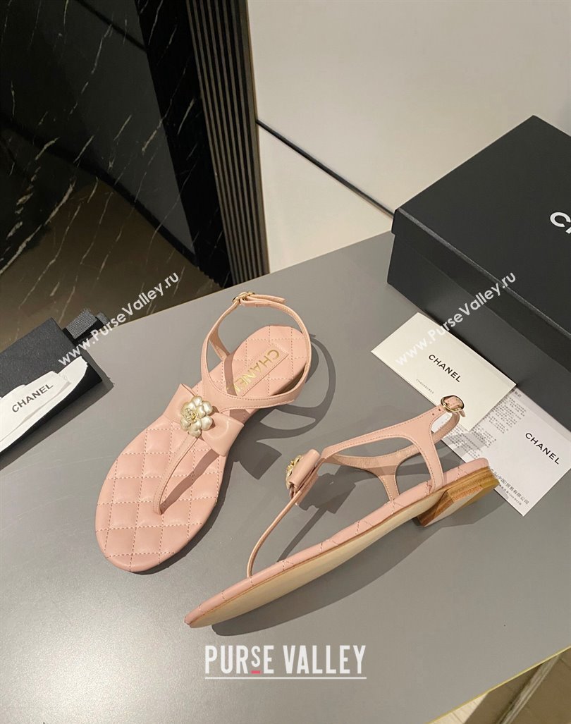 Chanel Lambskin Flat Thong Sandals with Bloom Bow Light Pink 2023 CH121310 (MD-231213049)