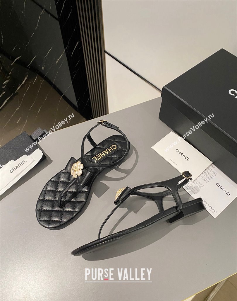 Chanel Lambskin Flat Thong Sandals with Bloom Bow Black 2023 CH121310 (MD-231213050)