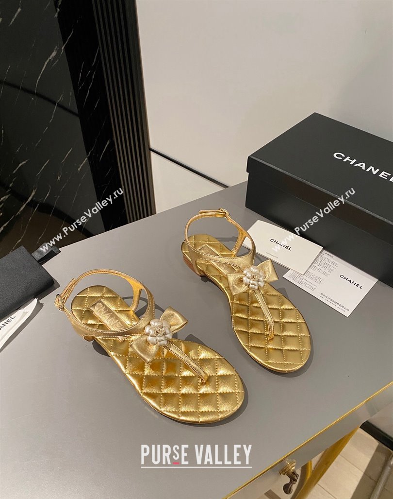 Chanel Lambskin Flat Thong Sandals with Bloom Bow Gold 2023 CH121310 (MD-231213052)