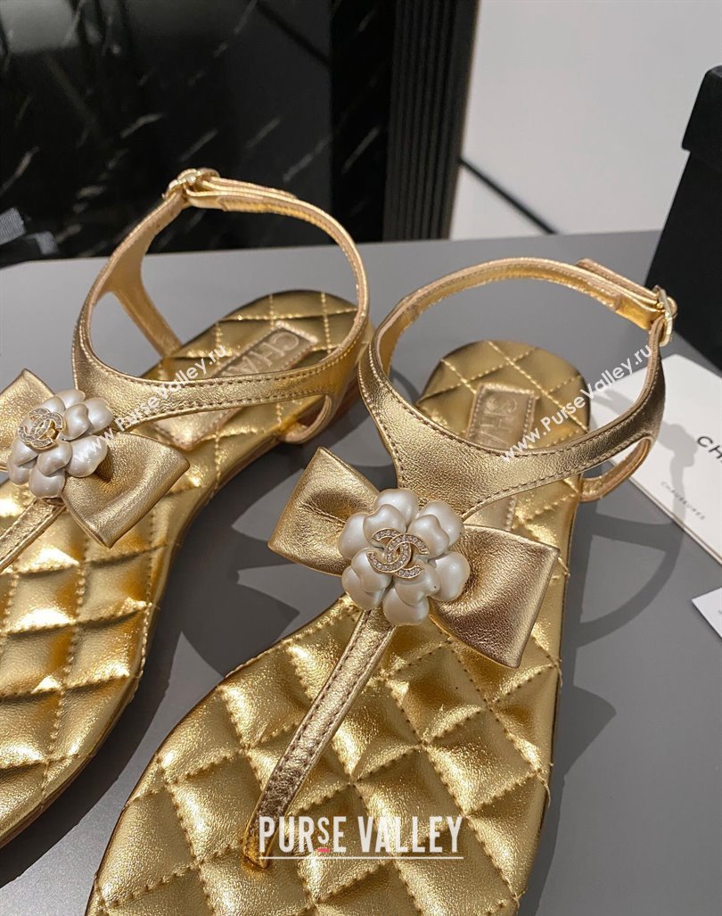 Chanel Lambskin Flat Thong Sandals with Bloom Bow Gold 2023 CH121310 (MD-231213052)