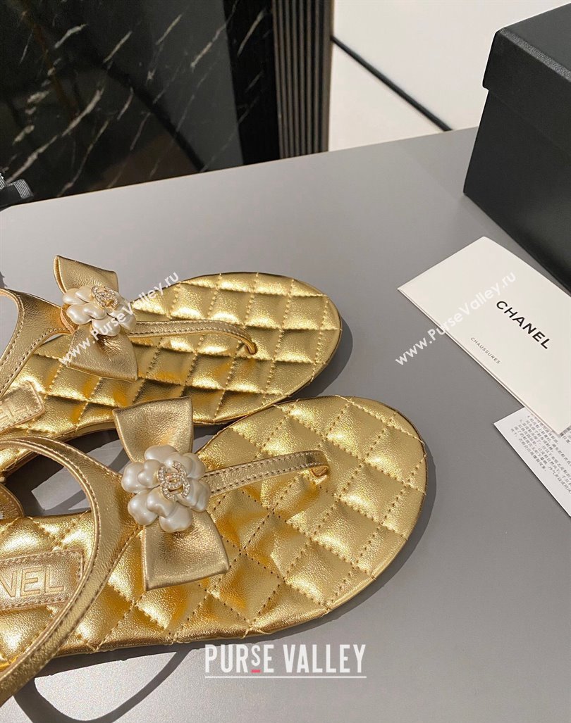 Chanel Lambskin Flat Thong Sandals with Bloom Bow Gold 2023 CH121310 (MD-231213052)