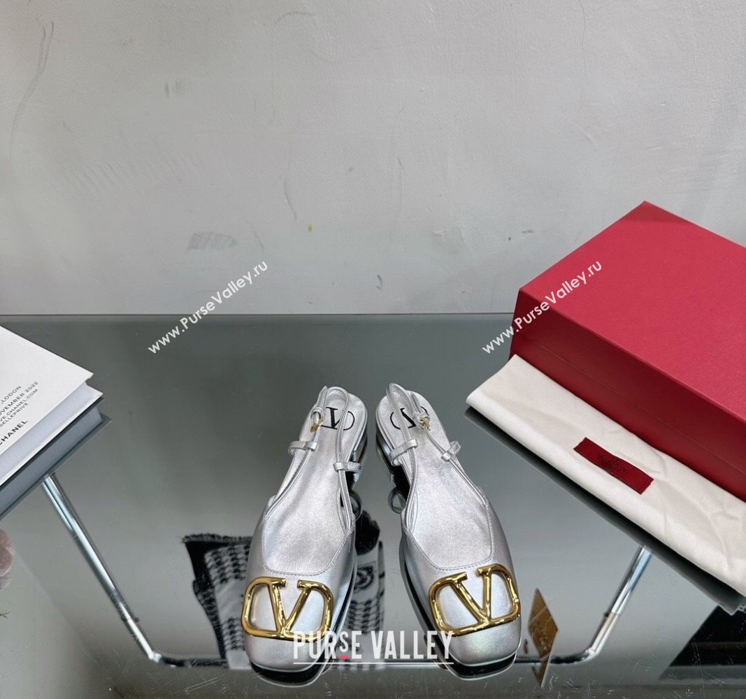 Valentino VLogo Metallic Leather Flat Ballerinas Silver 2024 VL010802 (MD-240108093)