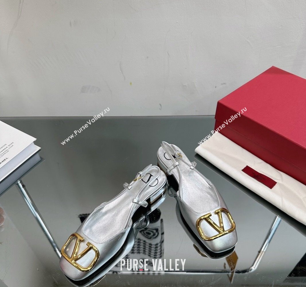 Valentino VLogo Metallic Leather Flat Ballerinas Silver 2024 VL010802 (MD-240108093)