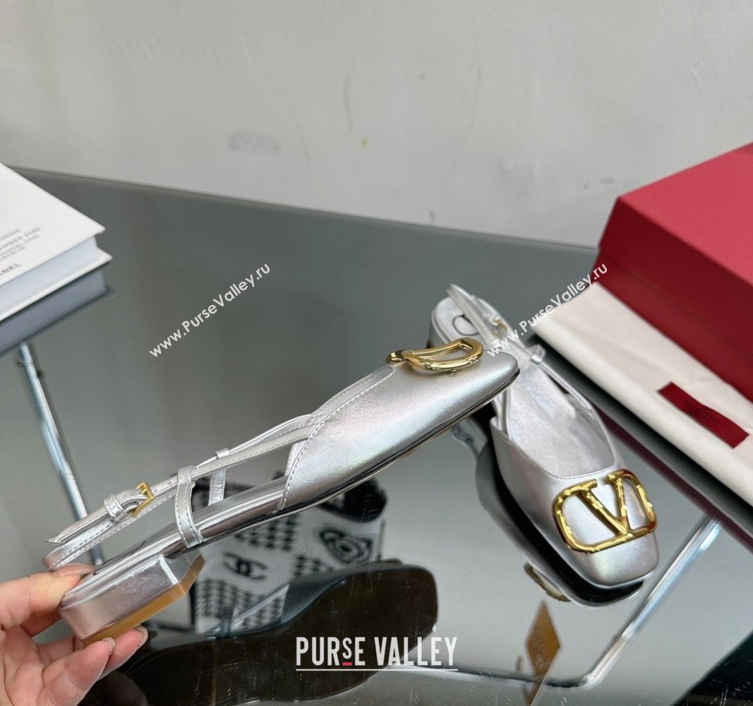 Valentino VLogo Metallic Leather Flat Ballerinas Silver 2024 VL010802 (MD-240108093)