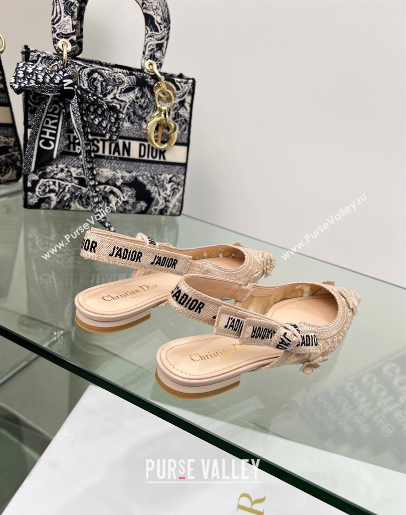 Dior JAdior Slingback Ballet Flat in Transparent Mesh Embroidered with Nude 3D Macrame-Effect D-Lace Motif 2023 (MD-240106060)