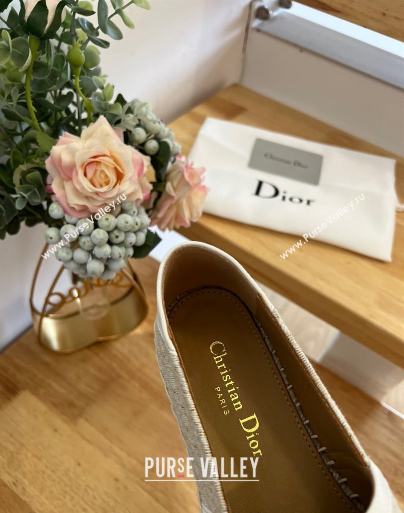 Dior Flat Espadrilles in Denim Embroidery Grey 2024 0125 (HB-240125088)