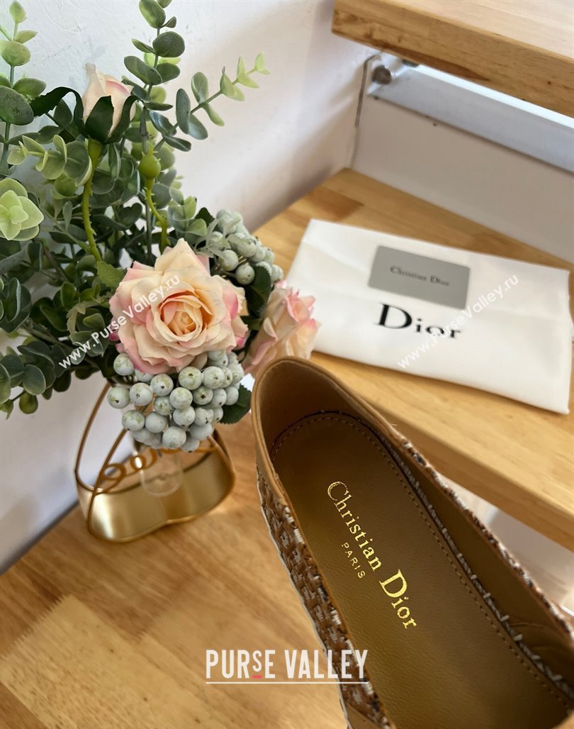 Dior Flat Espadrilles in Denim Embroidery Brown 2024 0125 (HB-240125089)