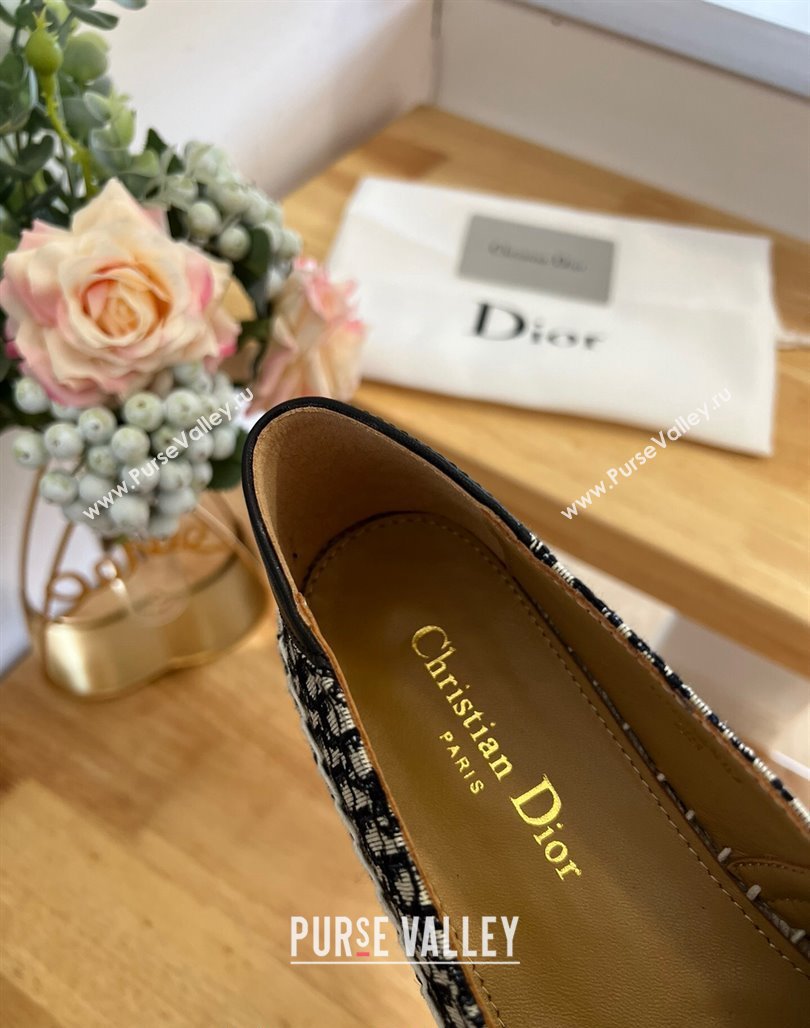 Dior Flat Espadrilles in Denim Embroidery Blue 2024 0125 (HB-240125090)