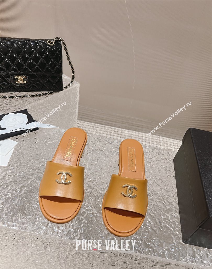 Chanel Lambskin Slide Sandals 5cm with Gold-Tone Heel Apricot 2024 0126 (MD-240126093)