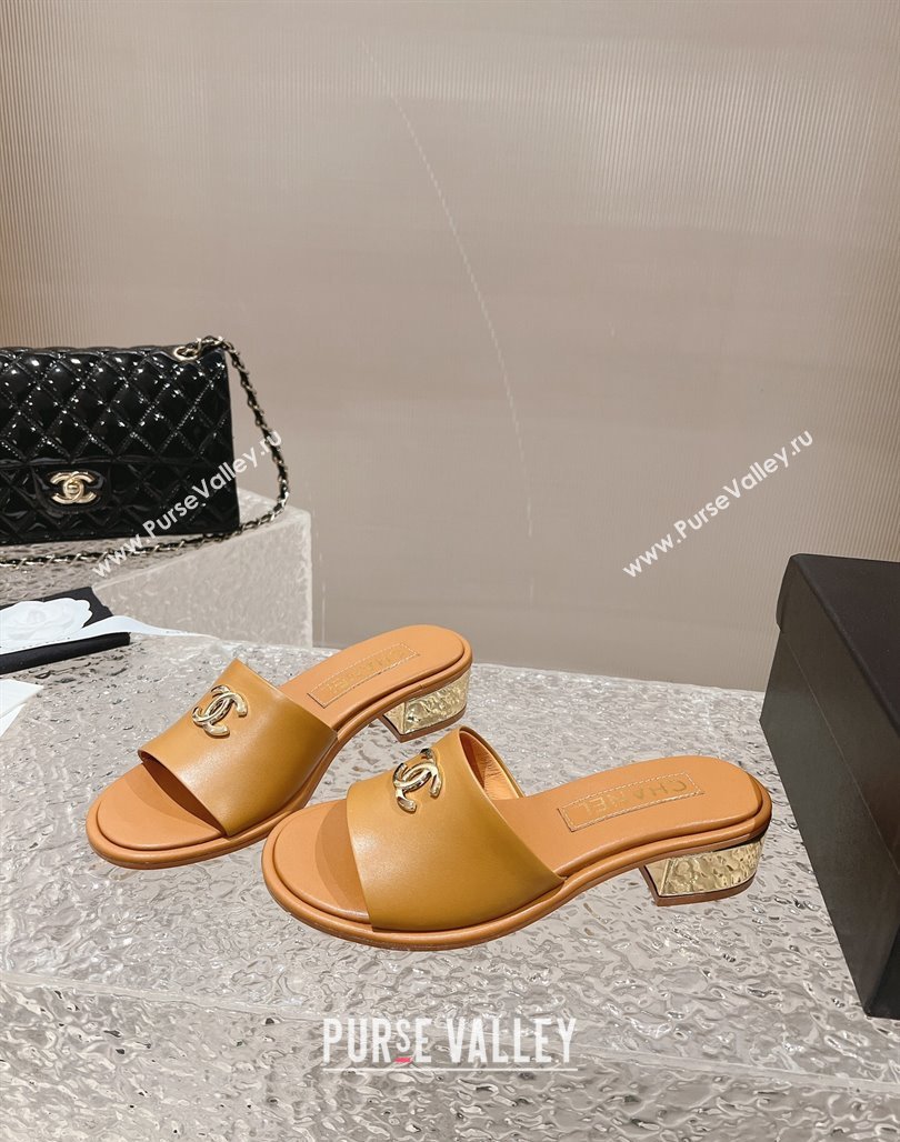 Chanel Lambskin Slide Sandals 5cm with Gold-Tone Heel Apricot 2024 0126 (MD-240126093)