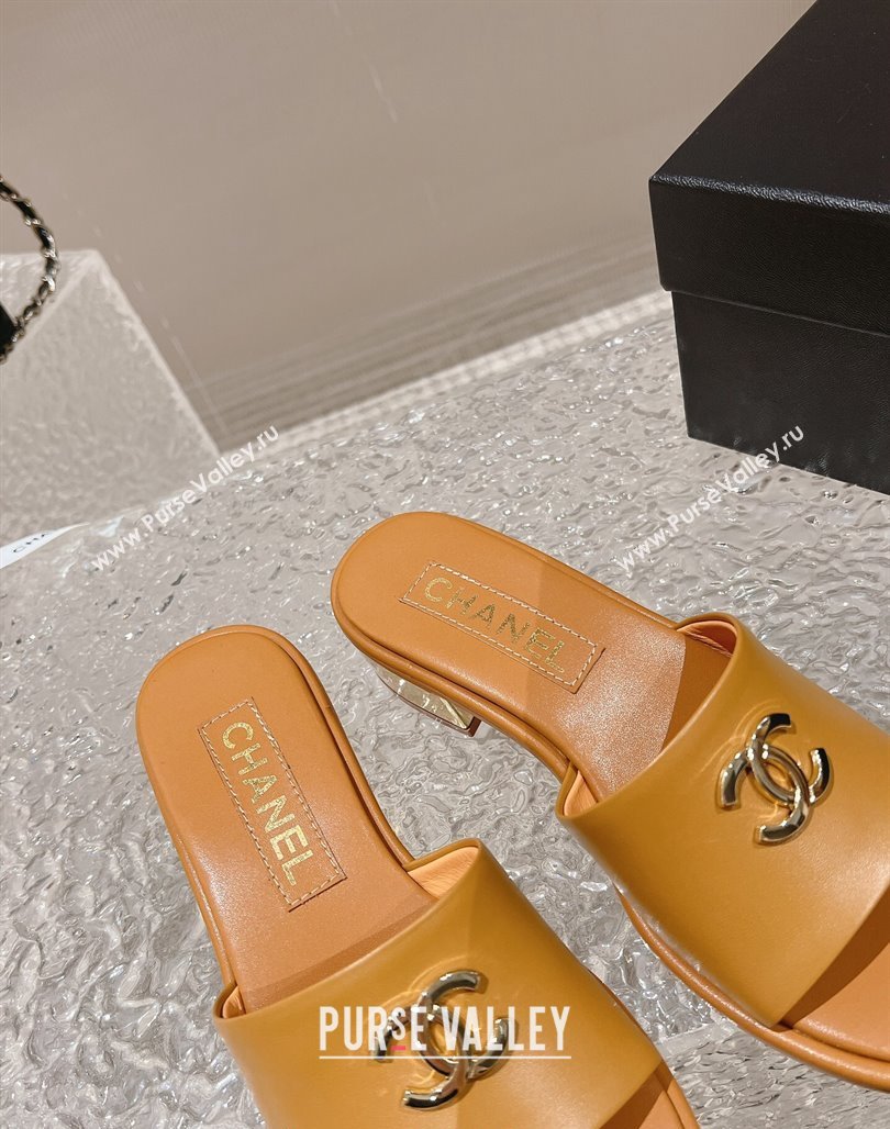 Chanel Lambskin Slide Sandals 5cm with Gold-Tone Heel Apricot 2024 0126 (MD-240126093)