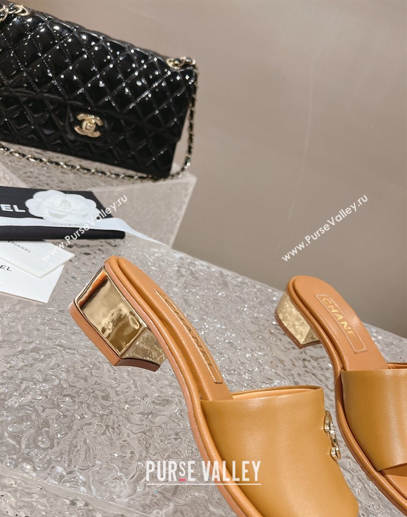 Chanel Lambskin Slide Sandals 5cm with Gold-Tone Heel Apricot 2024 0126 (MD-240126093)