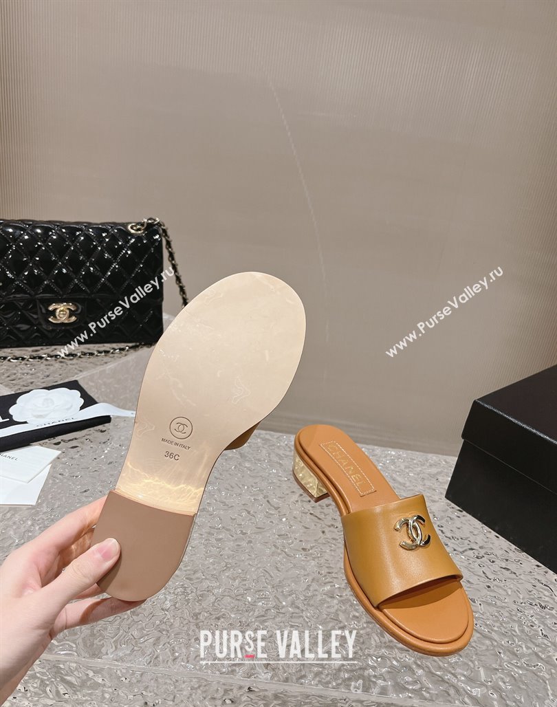 Chanel Lambskin Slide Sandals 5cm with Gold-Tone Heel Apricot 2024 0126 (MD-240126093)