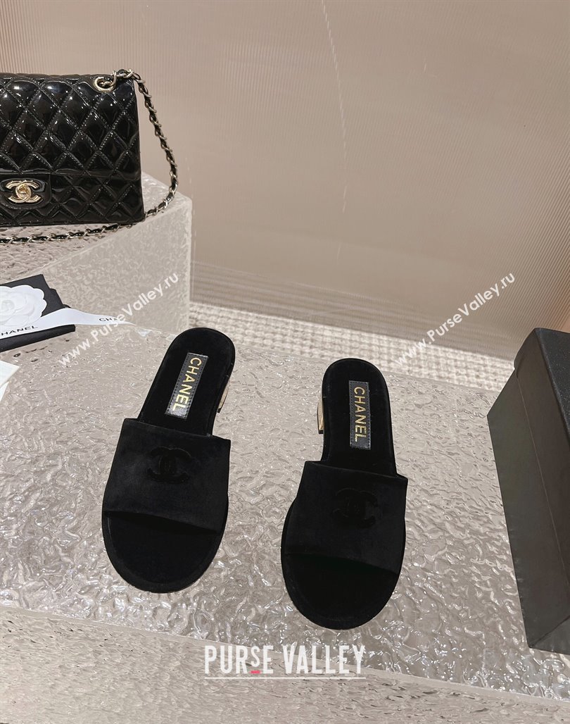 Chanel Suede Slide Sandals 5cm with Gold-Tone Heel Black 2024 0126 (MD-240126095)