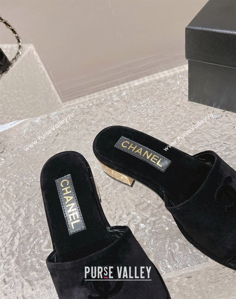 Chanel Suede Slide Sandals 5cm with Gold-Tone Heel Black 2024 0126 (MD-240126095)