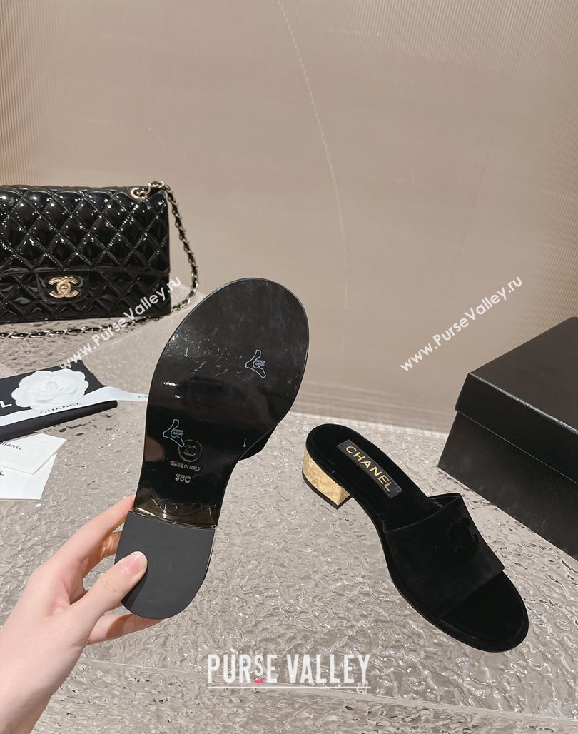 Chanel Suede Slide Sandals 5cm with Gold-Tone Heel Black 2024 0126 (MD-240126095)