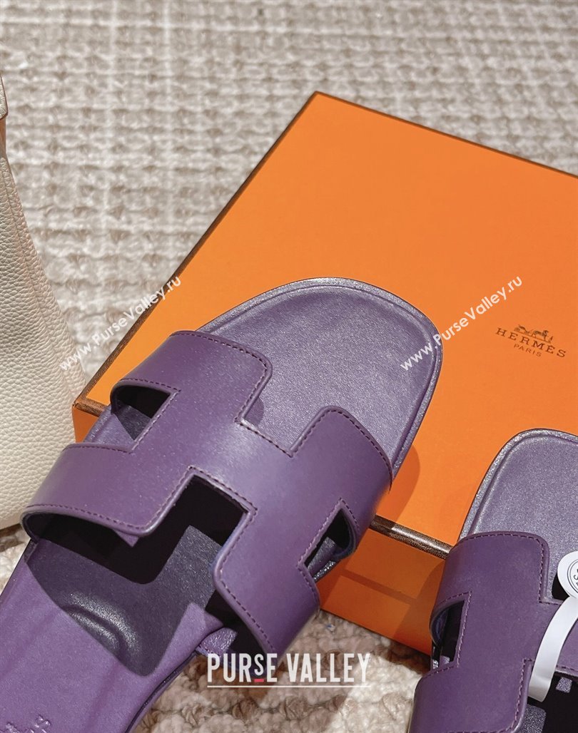 Hermes Classic Oran Flat Slide Sandals in Smooth Leather Purple 06 2024 0123 (MD-240123076)