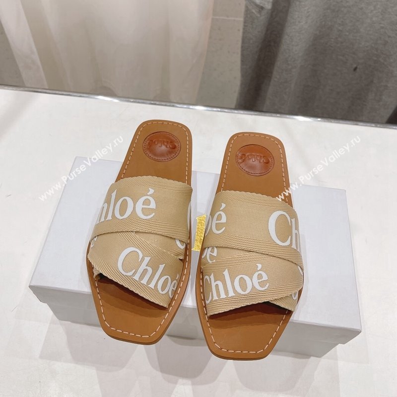Chloe Woody Flat Slide Sandals in Original Ribbon Beige 2 2024 (MD-240227128)