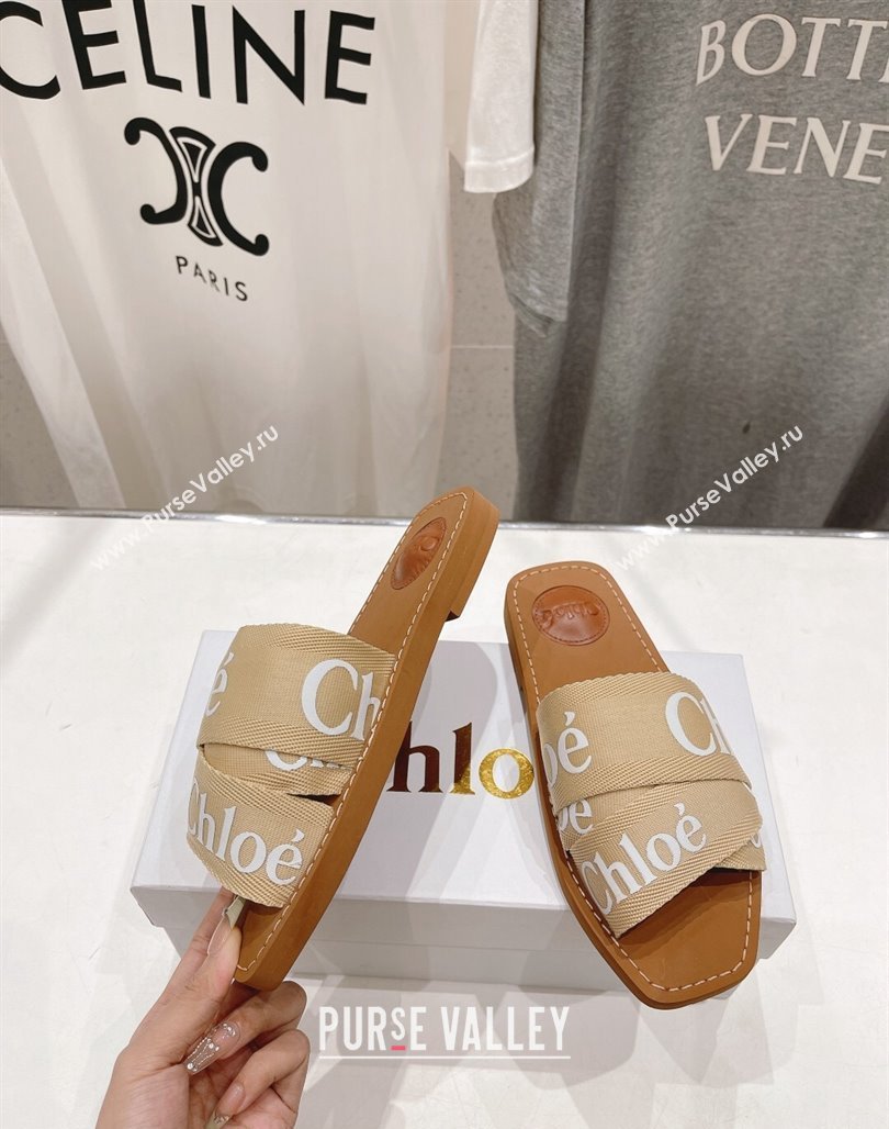 Chloe Woody Flat Slide Sandals in Original Ribbon Beige 2 2024 (MD-240227128)