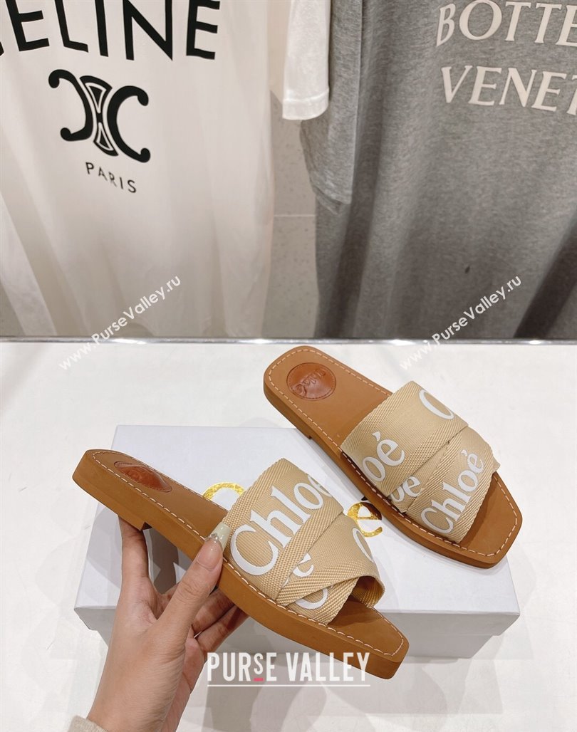 Chloe Woody Flat Slide Sandals in Original Ribbon Beige 2 2024 (MD-240227128)