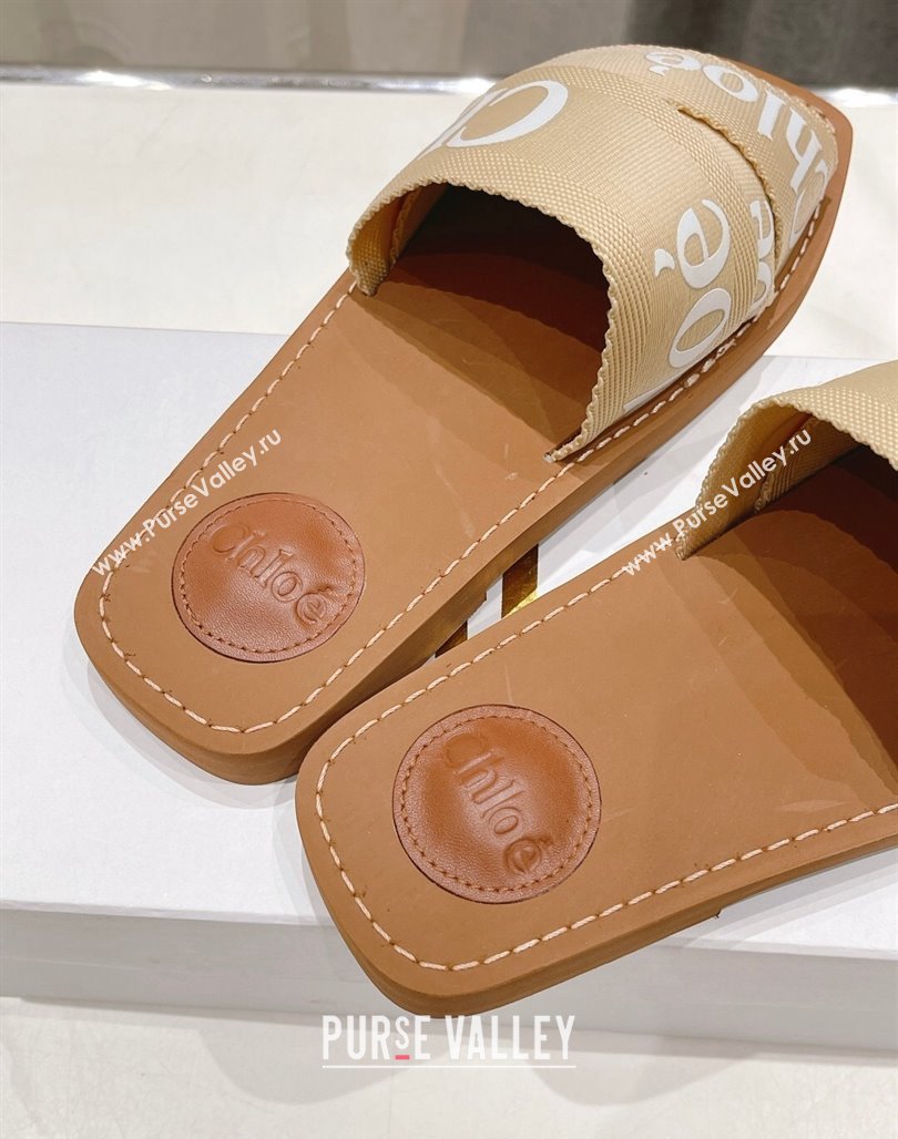 Chloe Woody Flat Slide Sandals in Original Ribbon Beige 2 2024 (MD-240227128)