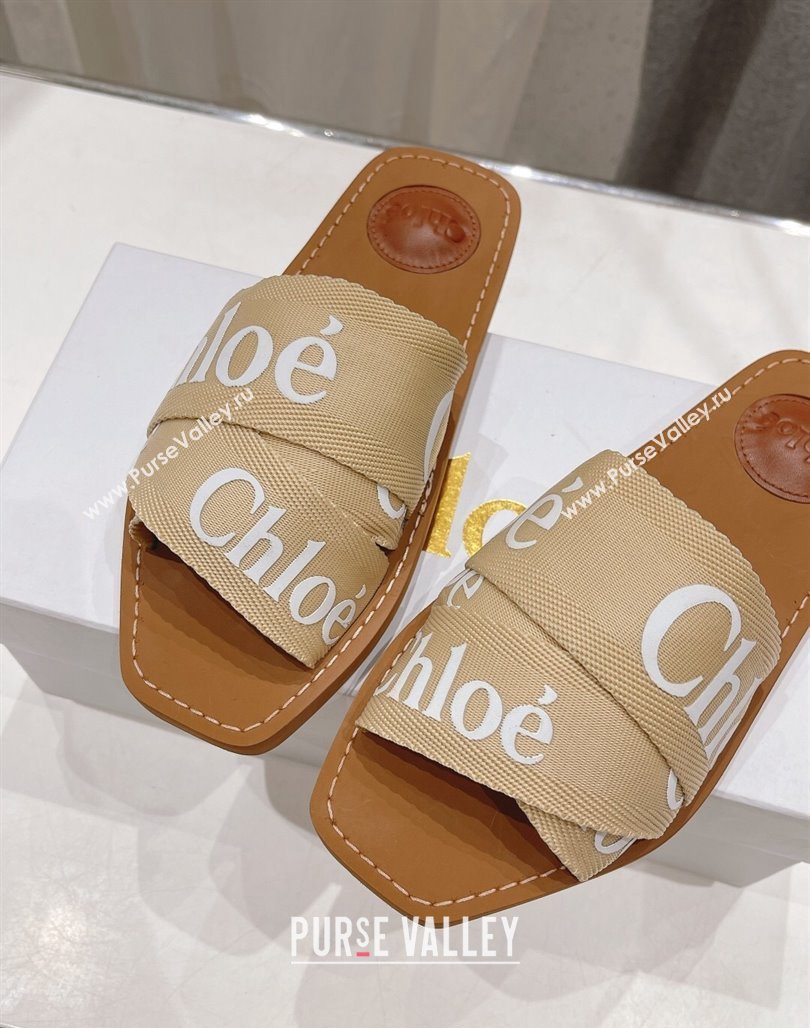 Chloe Woody Flat Slide Sandals in Original Ribbon Beige 2 2024 (MD-240227128)