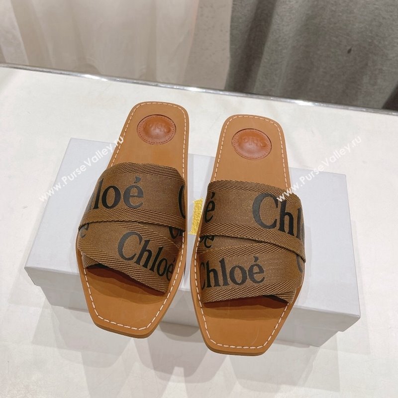 Chloe Woody Flat Slide Sandals in Original Ribbon Brown 2024 (MD-240227131)