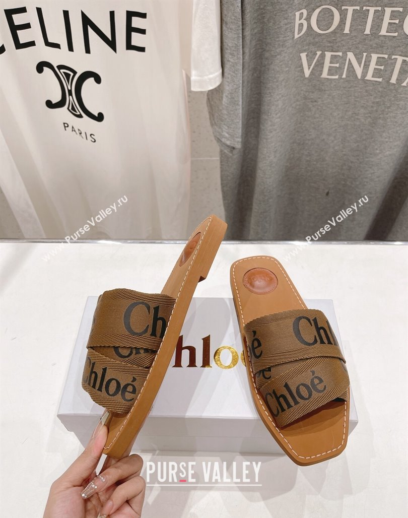 Chloe Woody Flat Slide Sandals in Original Ribbon Brown 2024 (MD-240227131)